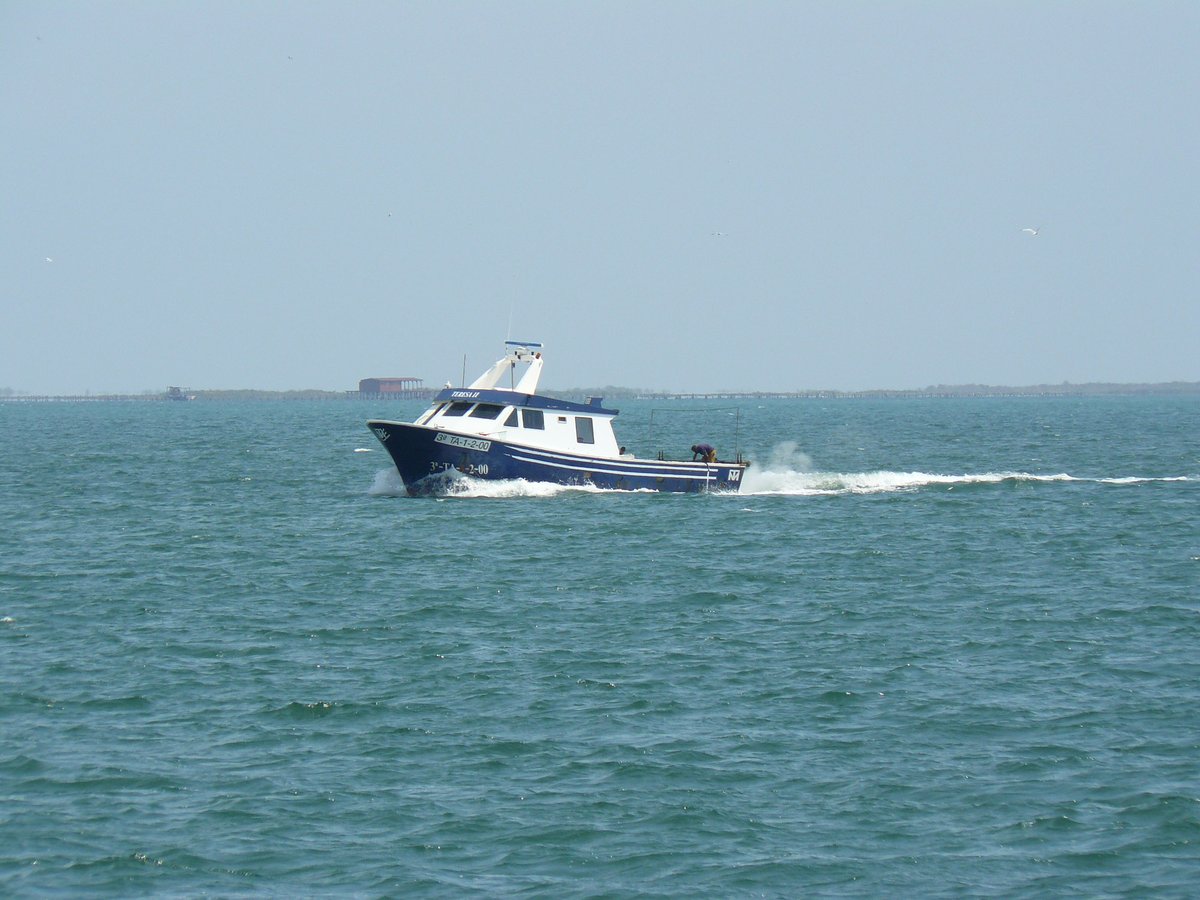 Imagen de Capitol 7 - 2000